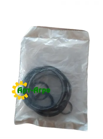 GR1528 Ремкомплект прокладок гидроцилиндра KINZE