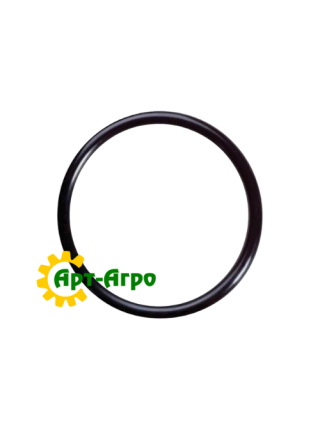 272778 Кільце ущільнювальне CNH