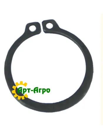 F02050101 Retaining ring Gaspardo