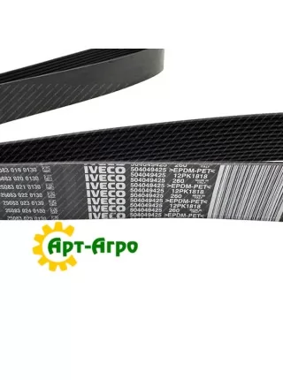 504049425 CNH multi-ribbed belt 504049425 CNH multi-ribbed belt