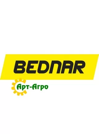 BEDNAR 