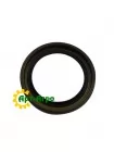 6513441 Seal Massey Ferguson(AGCO PARTS)