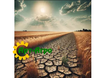 Вплив посухи на посіви озимих культур в Україні