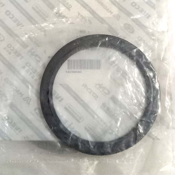 343883A1 Uszczelka CNH