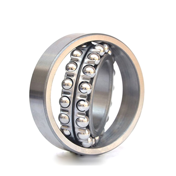 2310 (1610) Ball Bearing Set Double Row