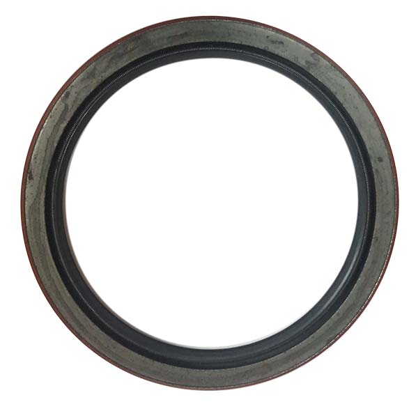 135293A1 Uszczelka olejowa CNH
