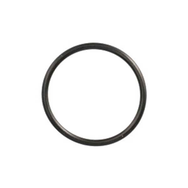 272380 O-ring CNH