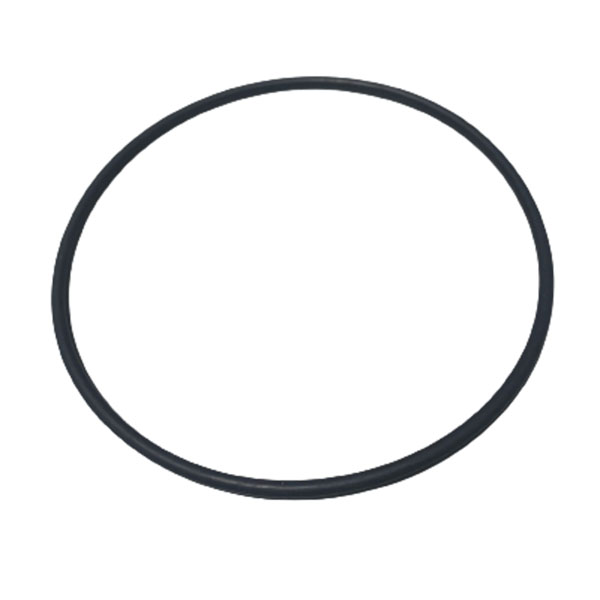 47545064 O-ring CNH