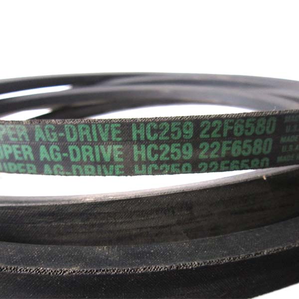 HC259 (22F6580) Pasek Carlisle