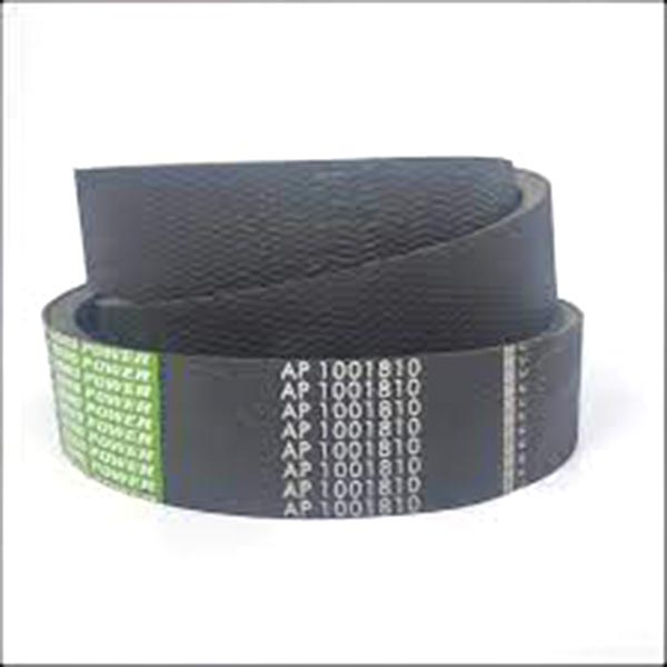 AP1001810 Pas Optibelt