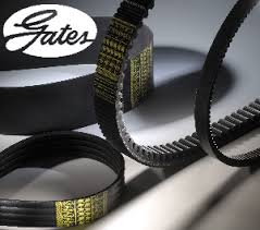 1402355 Pasek klinowy Gates
