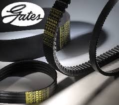 0202285 Pasek klinowy Gates