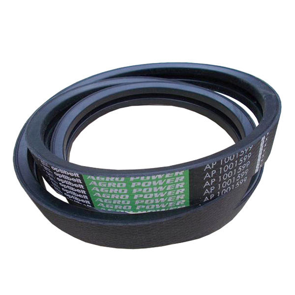 AP1001599 Pasek dwupętlowy Optibelt