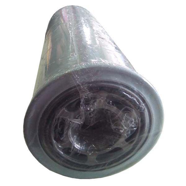 534039D1 Filtr hydrauliczny Agco Parts