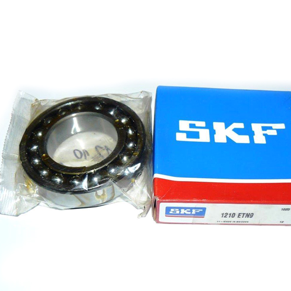 1210 ETN9 SKF (non-EU) Double Row Ball Bearing