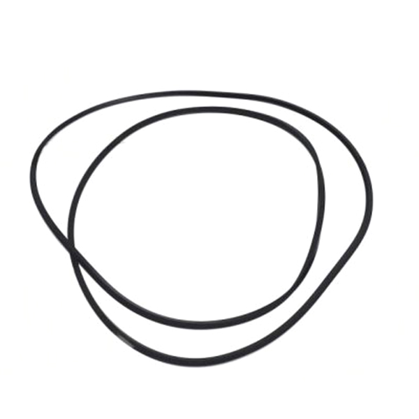 R125667 Sealing Ring John Deere