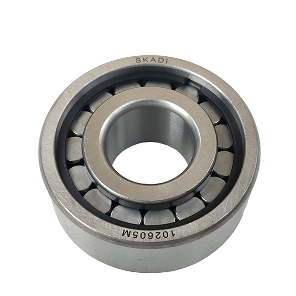 102605 Whale Single Row Roller Bearing