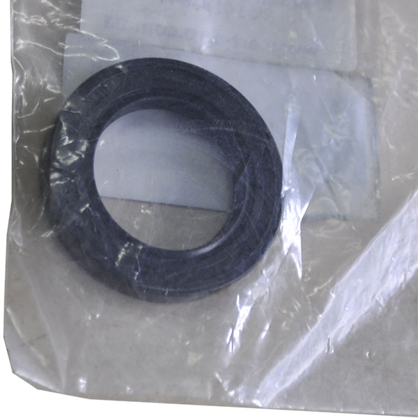 V614103047 Uszczelka olejowa AGCO PARTS