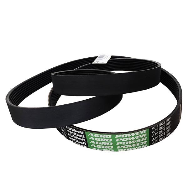 AP1003189 Pasek wielorowkowy Optibelt
