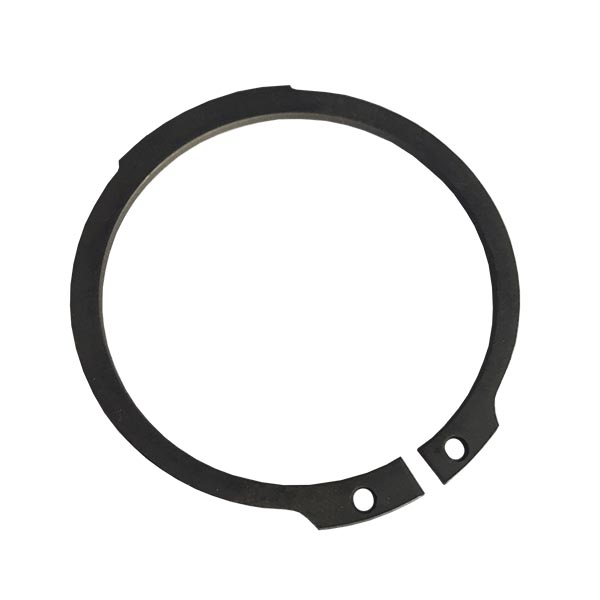 AG520005 Pierścień ustalający Agco Parts