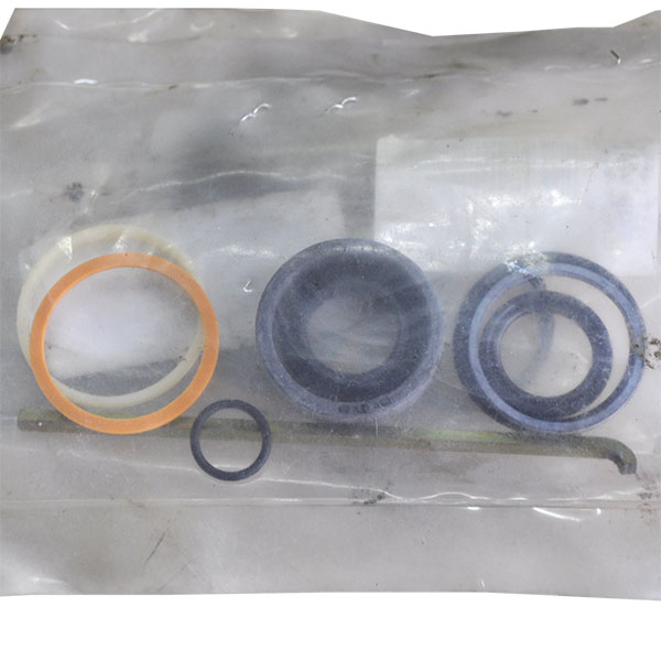 WR122431 Zestaw naprawczy cylindra hydraulicznego Massey Ferguson (AGCO PARTS)