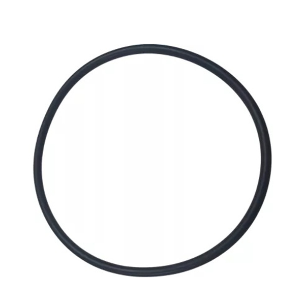 0002181280 O-ring CLAAS
