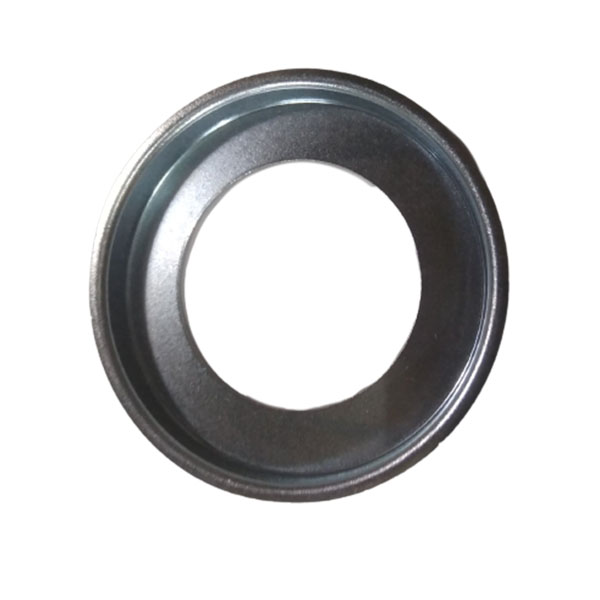 ACP0000220 Pierścień uszczelniający AGCO PARTS