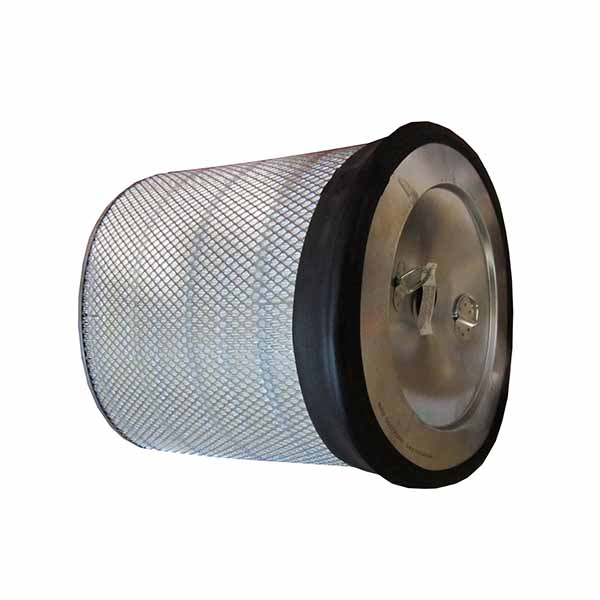 501772D2 Filtr powietrza silnika, główny AGCO PARTS