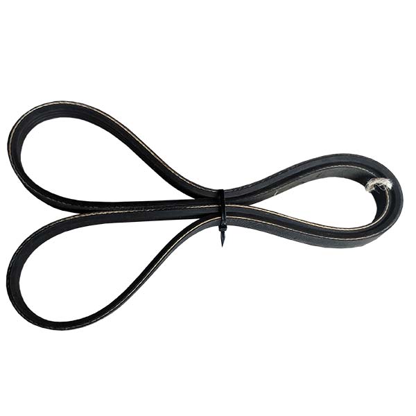 504145203 V-belt Pix