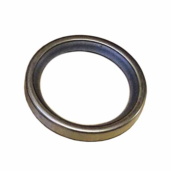 98494952 Uszczelka termostatu CASE