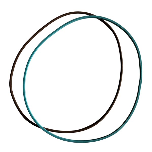 5172302 O-ring CNH