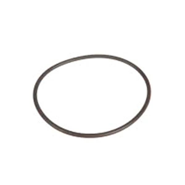 131-3718 Uszczelnienie AGCO PARTS