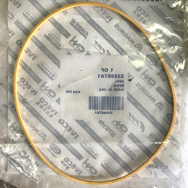 235987A1 O-ring CNH
