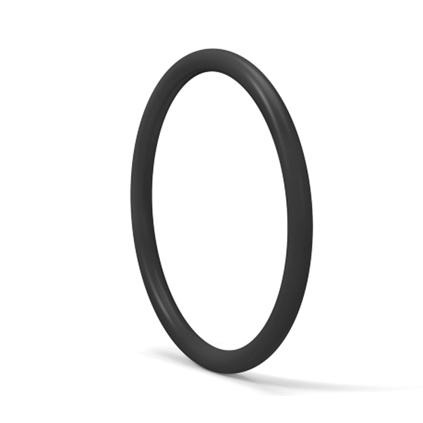 220025 O-ring, 24,3 mm ID x 28,9 mm x 2 mm CNH