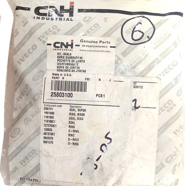 25803100 Zestaw uszczelek cylindra CNH