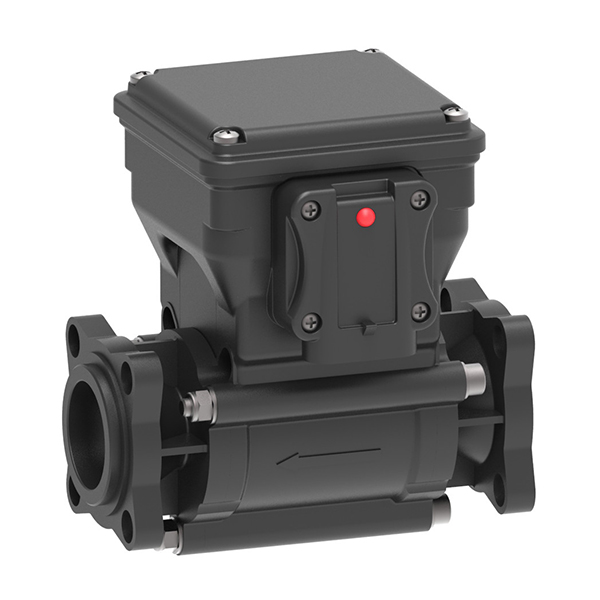 46211A20000 Przepływomierz 20 bar 290 psi Arag
