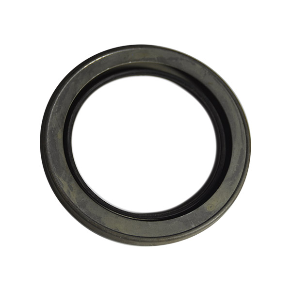 22925 Сальник SKF