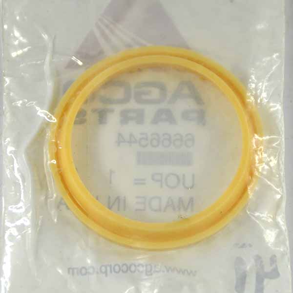 6666544 Ущільнення Massey Ferguson (AGCO PARTS)