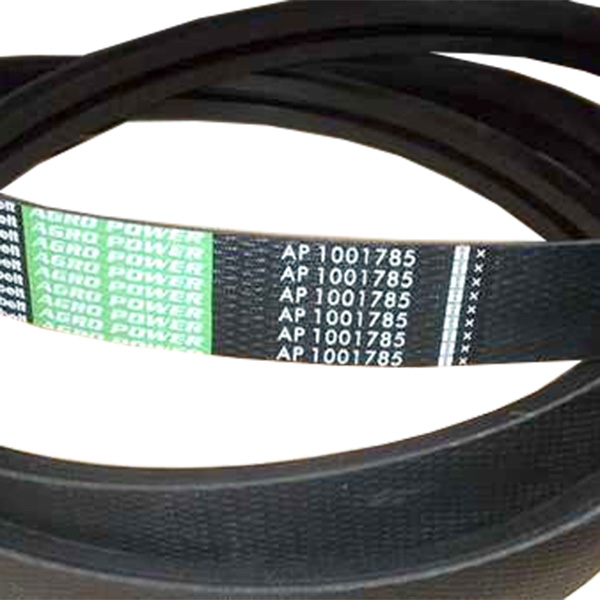 AP1001785 Двострумовий ремінь Optibelt