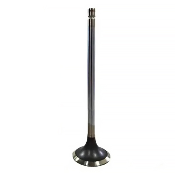 837069002 Zawór wydechowy Agco Parts