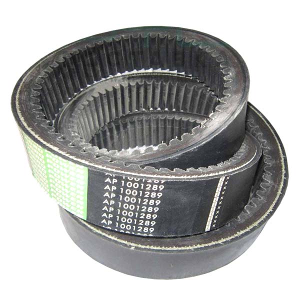 AP1001289 Ремінь варіатора Optibelt