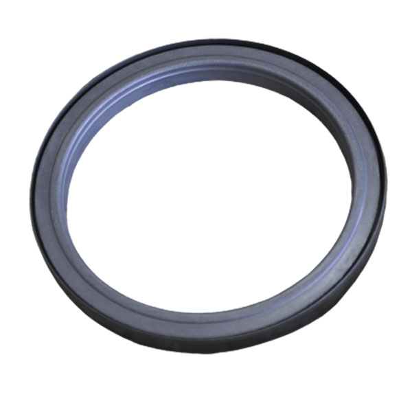 5801625924 CNH seal